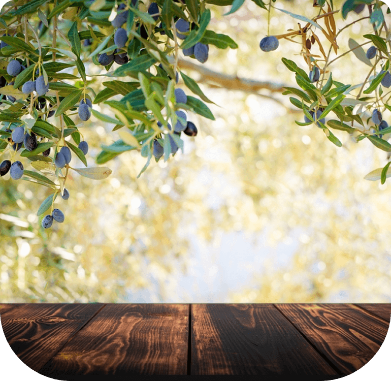 Firuzbey Geyikli Zeytinyağı